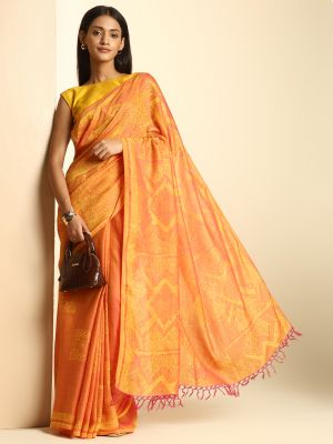 Folk Fusion Saree