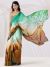 Vibrant Verses Saree